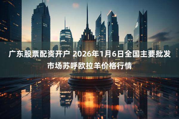 广东股票配资开户 2026年1月6日全国主要批发市场苏呼欧拉羊价格行情